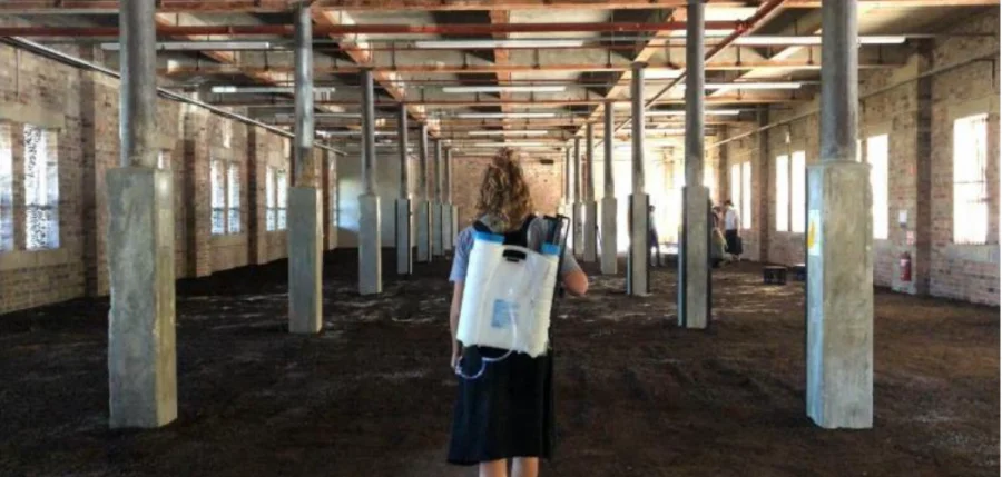 Startup-Essen – Ruhrtriennale: “Kultivator*innen” für “Absorption” von Asad Raza  vom 14.8.-25.9.2021  in Essen gesucht!